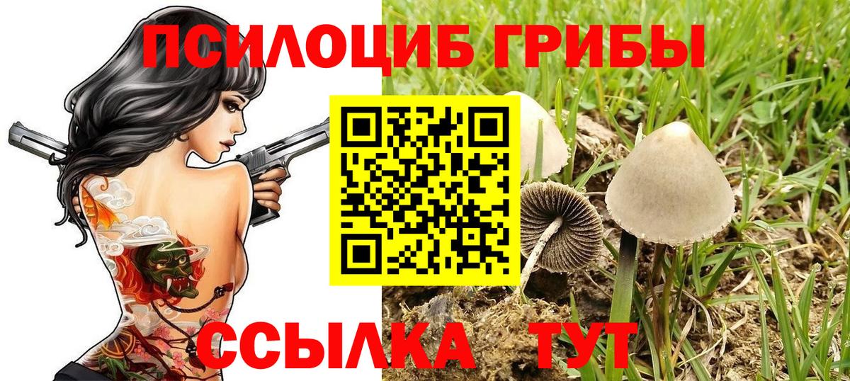 Снежинск  Галлюциногенные грибы Psilocybe  Вход с VPN 